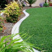 Synthetic grass

Synthetic grass for your terrace, garden, lanscaping, poolside, child daycare, sidewalk strip, dog park, we have several choices for you depending on the density, fiber and quality.